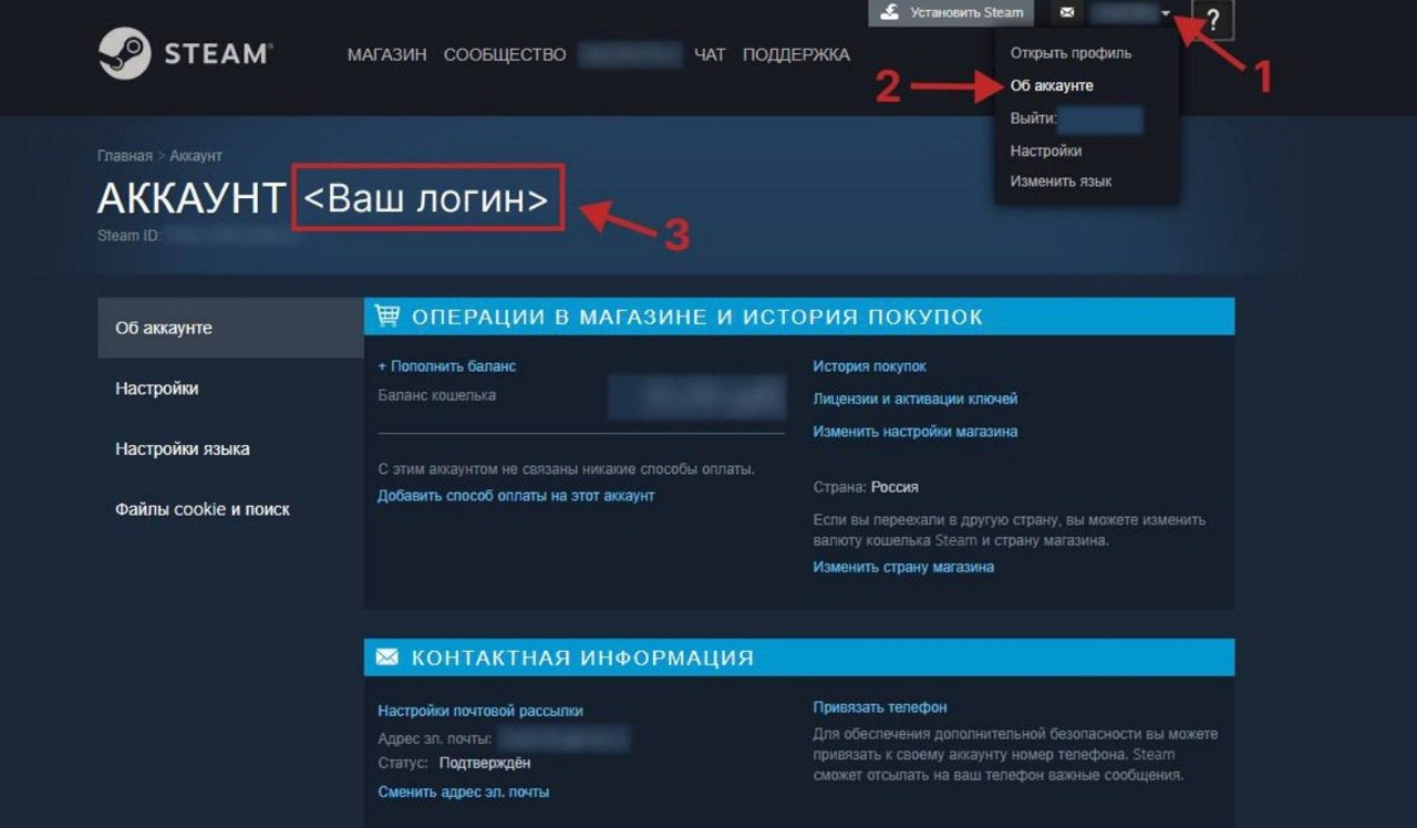 Как найти логин Steam